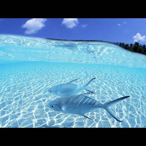 Welcome to my closet! My name is Harriet - Picture 5 of 16